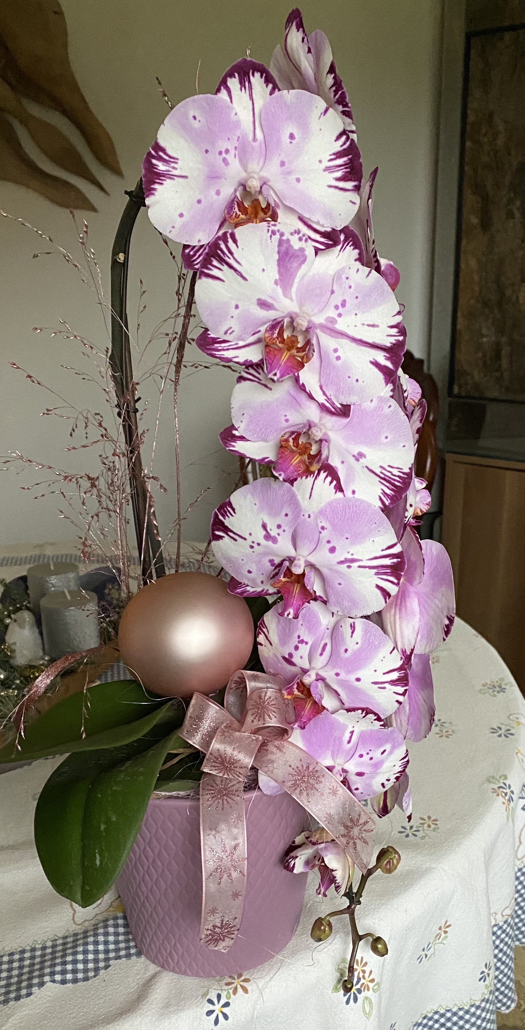Orchidee21